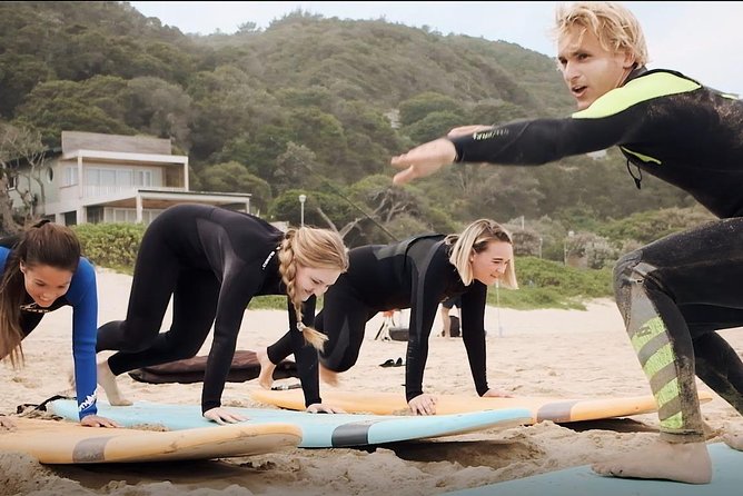 1h15min Surfing Lessons In Victoria Bay & Wilderness Meeting Point And Schedule