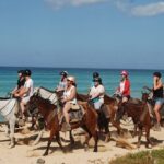 2 Hour Horseback Riding On The Beaches Of Punta Cana Activity Details