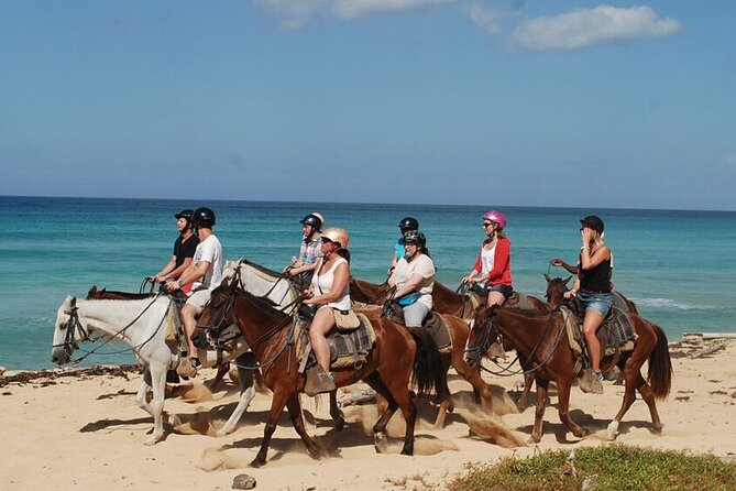 2 Hour Horseback Riding on the Beaches of Punta Cana - Activity Details