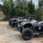 2 Hour Quad Biking Guided Excursion Through The Knysna Forests Overview Of The Excursion