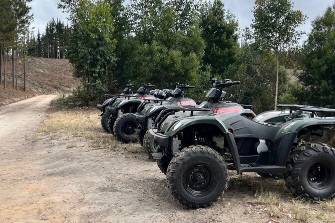 2-Hour Quad Biking Guided Excursion Through the Knysna Forests - Overview of the Excursion