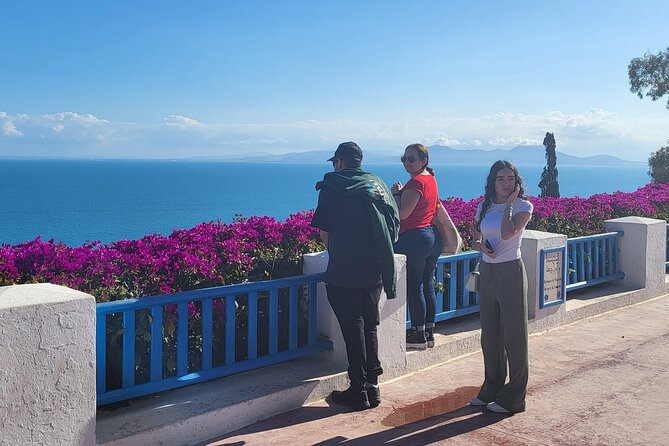 2 Hours Shared Walking Tour of Sidi Bou Said - Tour Overview