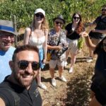 2 Wineries Tour With Wine Tasting, Olive Oil Tasting & Lunch Tour Overview And Pricing