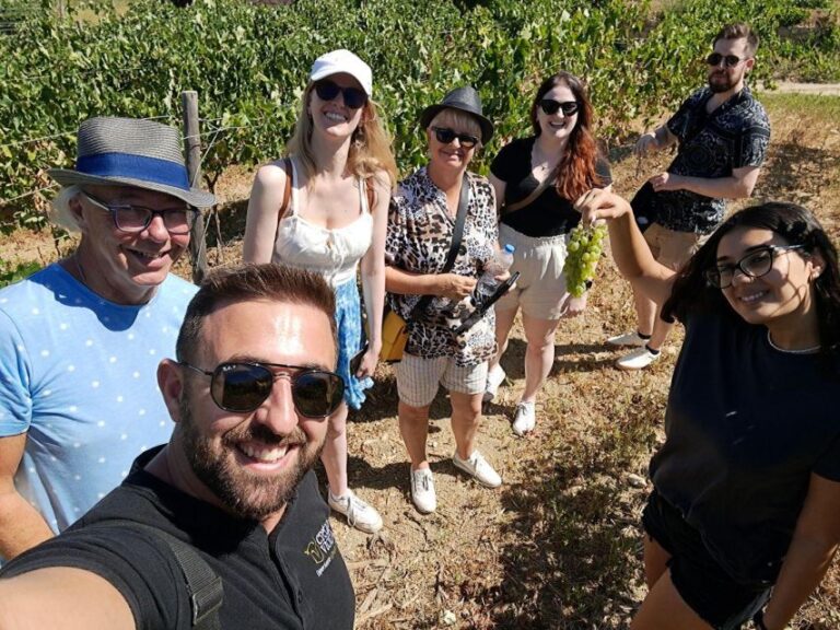 2 Wineries Tour With Wine Tasting, Olive Oil Tasting & Lunch Tour Overview And Pricing