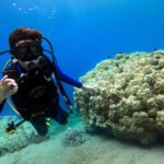 3 Day Open Water Scuba Diving Course In Aqaba Included Amenities