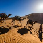 3 Days Desert Tour To Fes From Marrakech Tour Overview