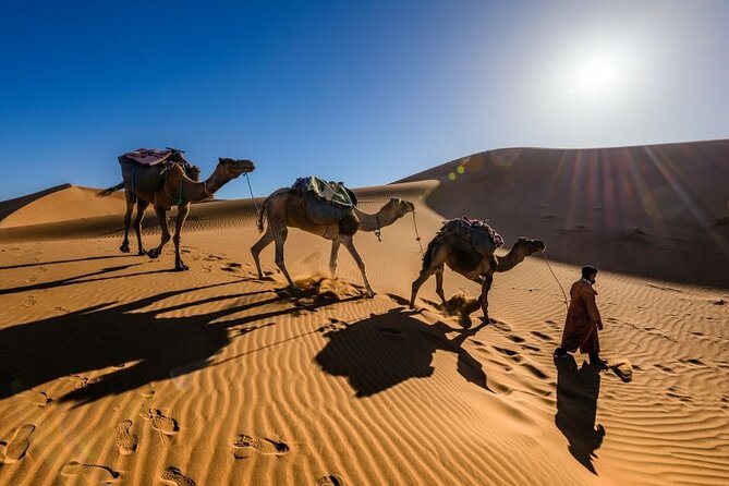 3 Days Desert Tour to Fes From Marrakech - Tour Overview