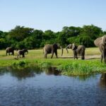 3 Days Murchison Falls Adventure Wildlife Safari Uganda Tour Park Overview