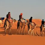 3 Days Private Desert Tour From Fez To Marrakech Tour Overview