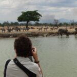 3 Days Safari To Mikumi Np Accommodation Inside The Park Tour Details