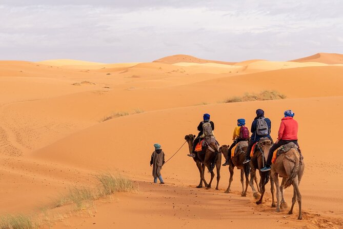 3 Days Shared Marrakech Desert Tour To Merzouga & Camel Trek - Tour Description