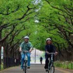 3 Hour Private E Bike Tour In Tokyo Starts At Your Hotel Tour Overview