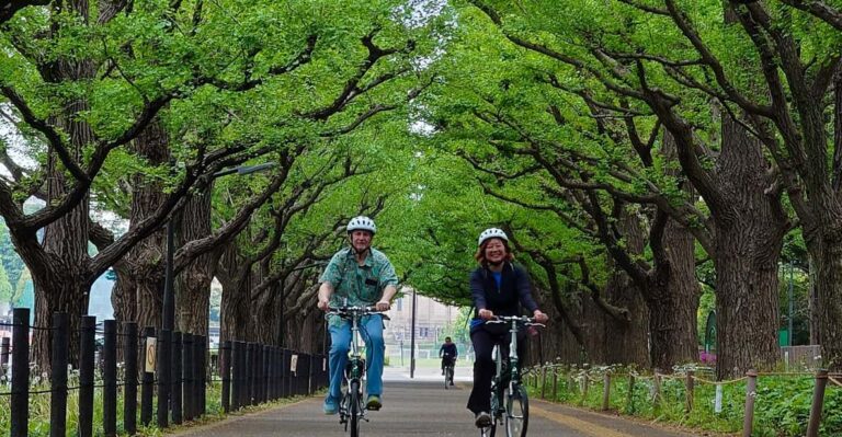 3 Hour Private E Bike Tour In Tokyo Starts At Your Hotel Tour Overview