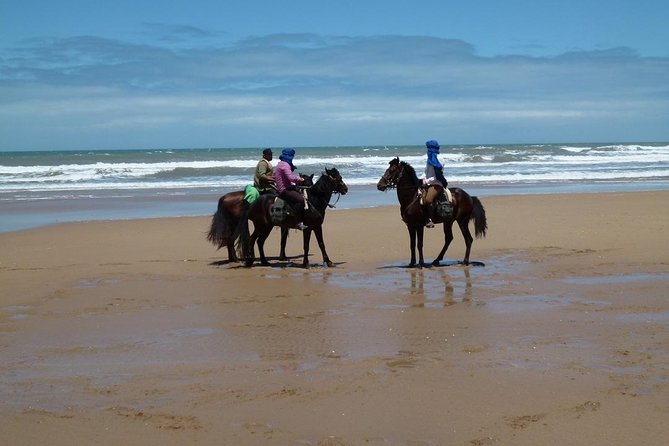 3 Hours Horse Riding in Essaouira, Beach, Forest and Dunes - Tour Overview