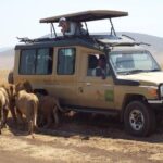 4 Days Tanzania Camping Safari Tour Highlights