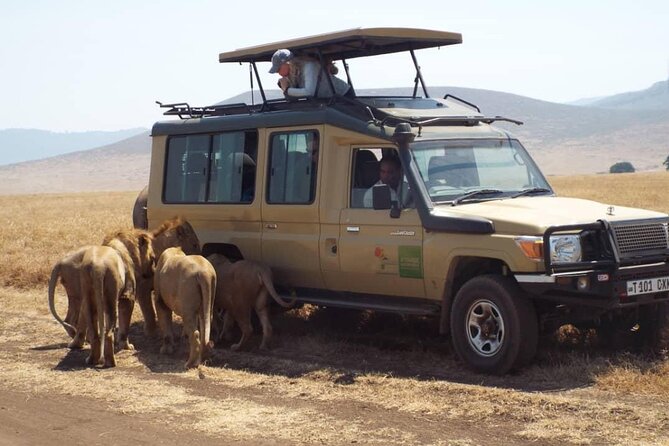 4 Days Tanzania Camping Safari - Tour Highlights