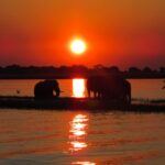 5 Day Victoria Falls And Chobe Tour From Victoria Falls Tour Overview