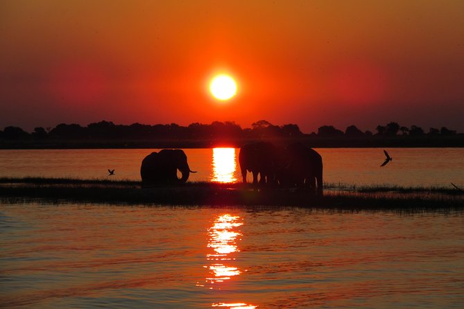 5-Day Victoria Falls and Chobe Tour From Victoria Falls - Tour Overview