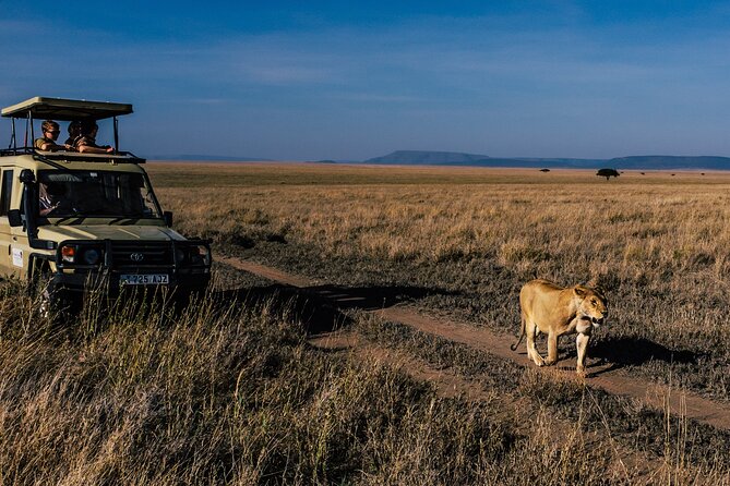 5 Days Budget Safari in Tanzania - Overview of the Safari Tour