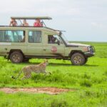 6 Day Tanzania Wildlife Mid Range Safari Ngorongoro Crater Experience