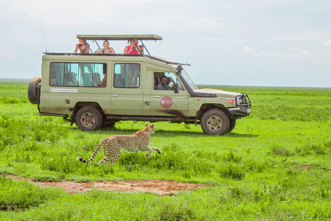 6 Day Tanzania Wildlife Mid Range Safari - Ngorongoro Crater Experience