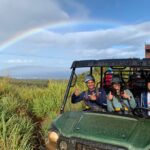 6 Dual Zipline Mountain Adventure In Maui Overview And Experience