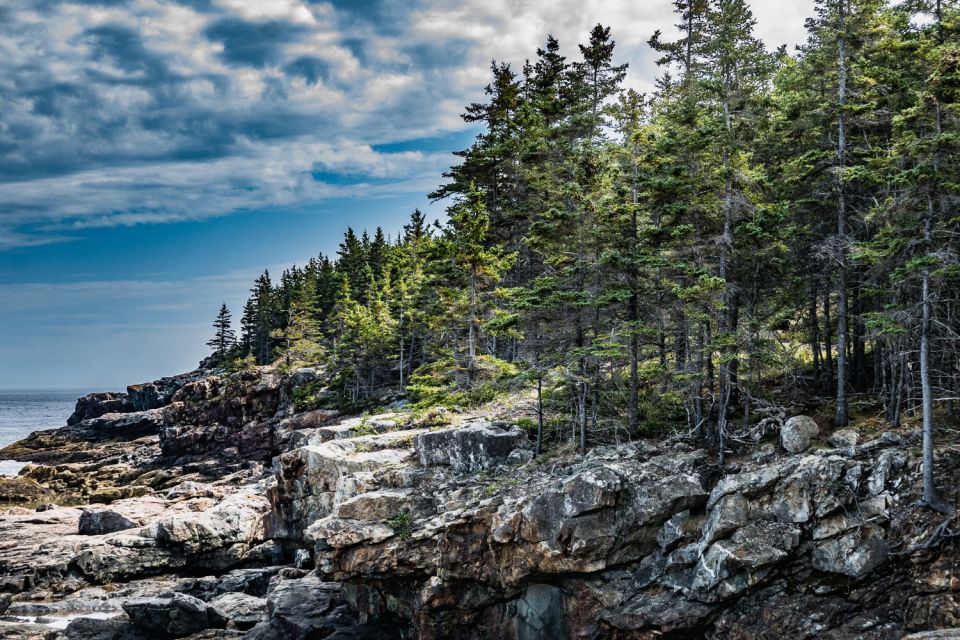 Acadia: Mount Desert Island Self-Guided Driving Tour - Tour Overview