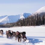 Active Winter Adventure In Yukon | 5 Days Aerial Sightseeing Tour