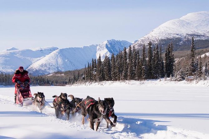 Active Winter Adventure in Yukon | 5 Days - Aerial Sightseeing Tour