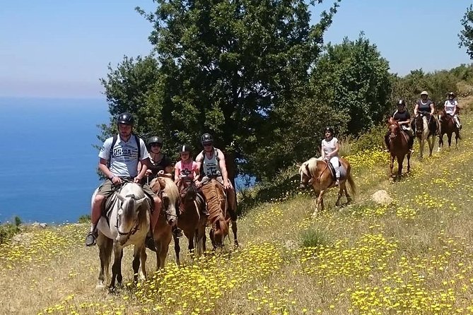 Alanya 3 Hour Horse Back Riding - Included Amenities