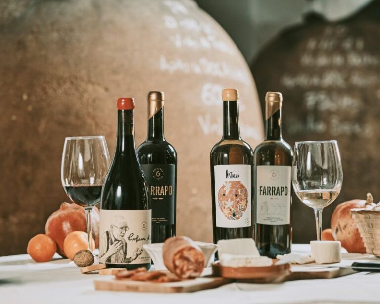 Alentejo: Visit And Taste The Tradition Of Talha Wines Experience Overview