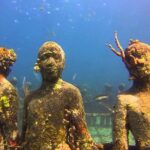 All Inclusive Full Day Snorkeling & Sunset Cruise With Boat Dogs Snorkeling The Underwater Sculpture Park