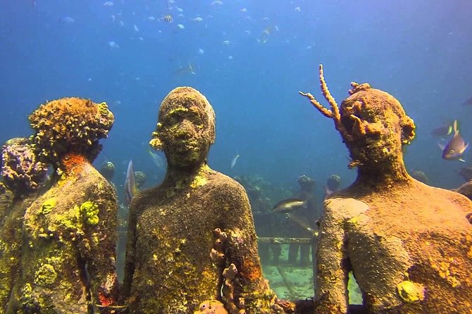 ALL INCLUSIVE Full Day Snorkeling & Sunset Cruise With Boat Dogs - Snorkeling the Underwater Sculpture Park