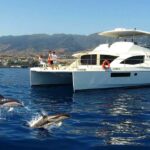 All Inclusive Whale And Dolphin Watching Luxury Tour Tour Overview