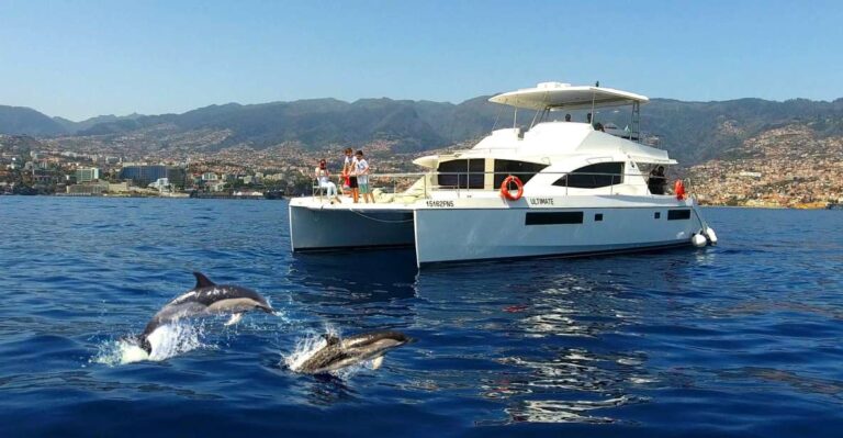 All Inclusive Whale And Dolphin Watching Luxury Tour Tour Overview