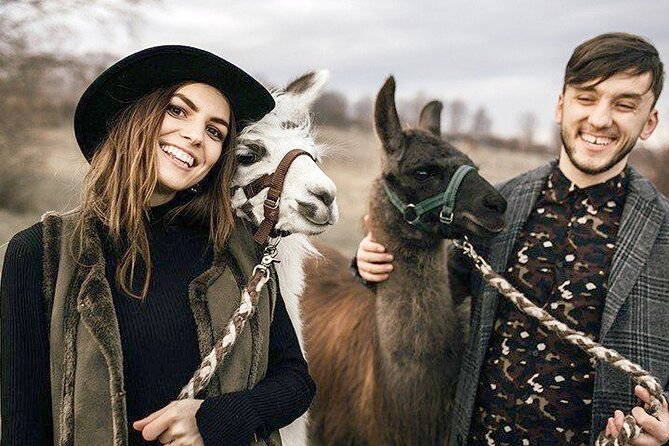 Alpaca and Llama Hike Moedling Near Vienna - Petting Friendly Farm Animals