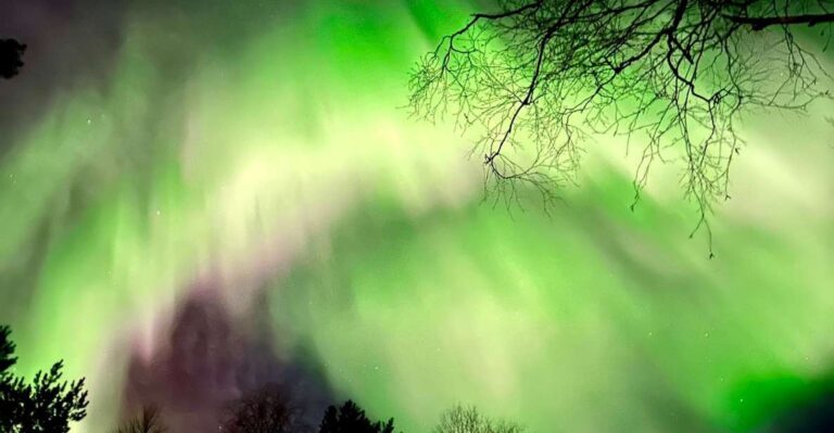 Amazing Aurora With Bbq In The Best Spot In Rovaniemi! Tour Overview