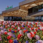 Amsterdam: Half Day Flower Fields And Keukenhof Bicycle Tour Tour Overview