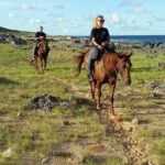 Aruba 2,5 Hrs Horseback Riding For Advanced Riders Included In The Tour