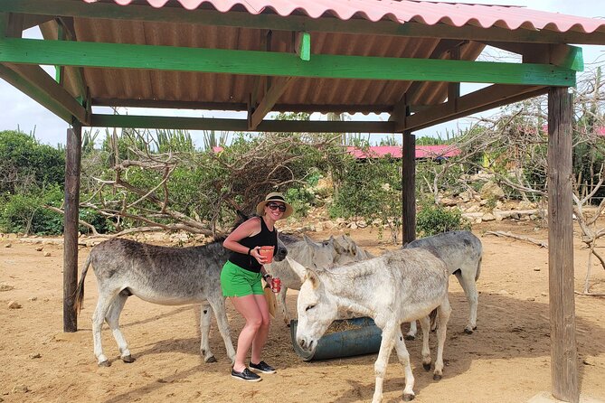 Aruba Baby Beach Express Tour - Inclusions