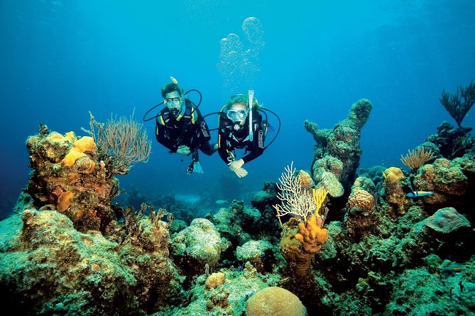 Aruba One or Two Tank Scuba Dive - Included in the Dive Package