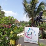 Aruba's Ecological Trails And Urirama Beach Ride. Overview Of The Excursion