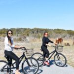 Assateague Island: Bike Rental From The Bayside Stand Bike Rental Experience