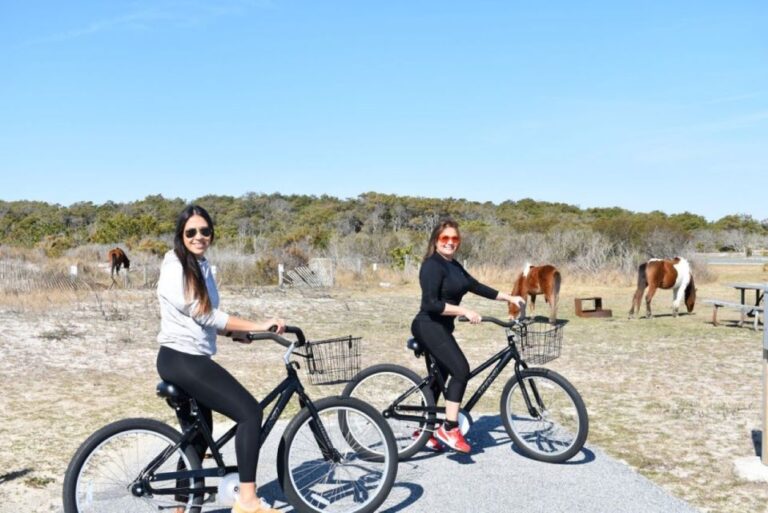 Assateague Island: Bike Rental From The Bayside Stand Bike Rental Experience