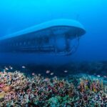 Atlantis Submarine From Kona Beach Tour Details