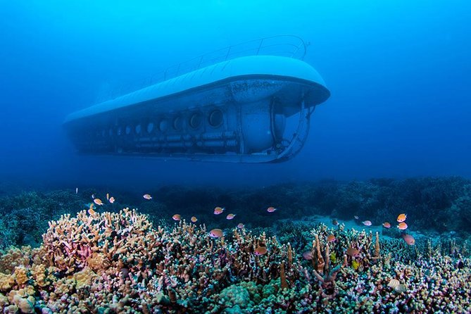 Atlantis Submarine From Kona Beach - Tour Details