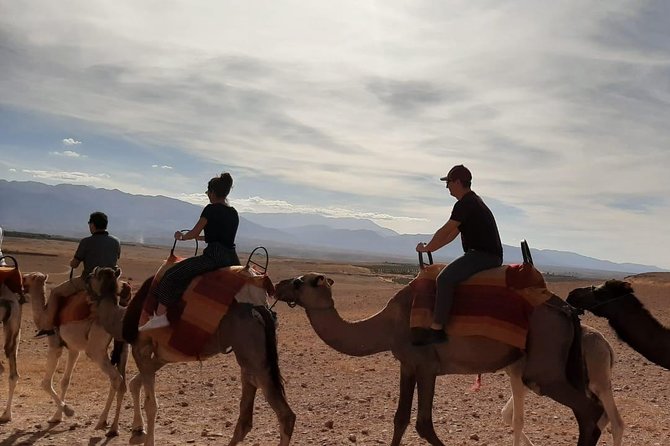 Atlas Mountains and Three Valleys & Waterfalls With Camel Ride Day Trip - Tour Overview