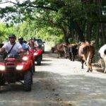 Atvs Fun Tour From Amber Cove Or Taino Bay Tour Inclusions