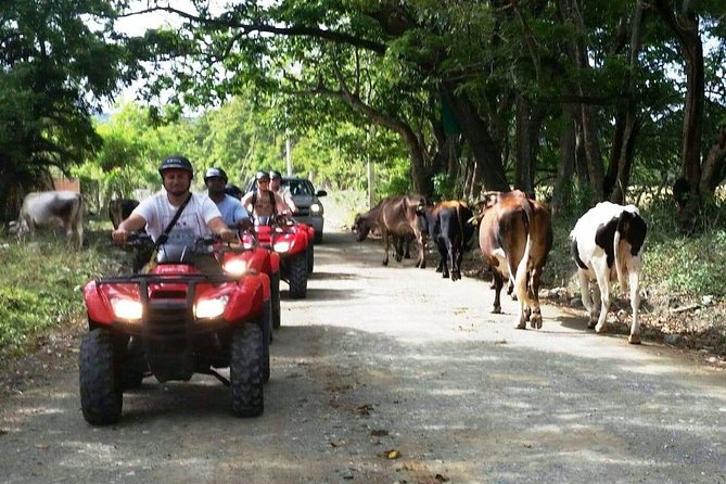 ATVS Fun Tour From Amber Cove or Taino Bay - Tour Inclusions