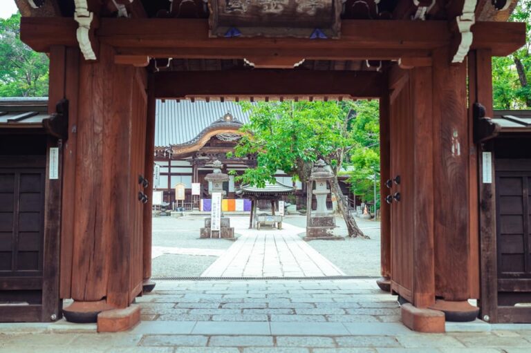 Authentic Japan At Jindaiji: Nature & History Walk Tour Overview And Pricing